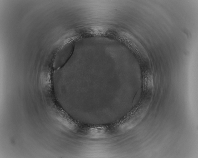 X0000111800700200908061158