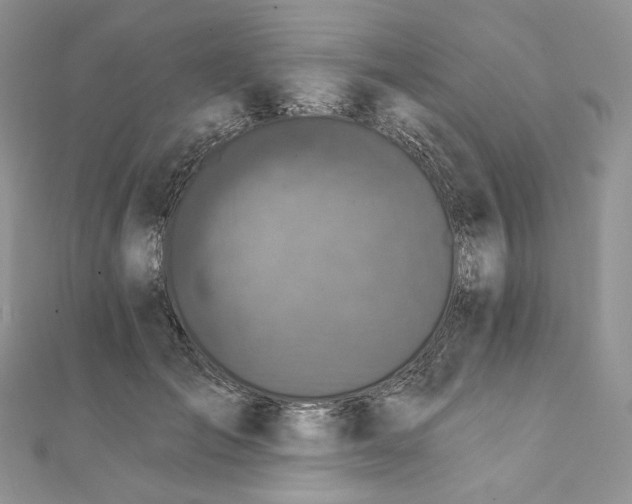 X0000111800701200908061158