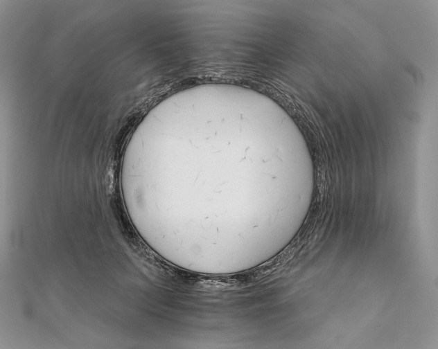 X0000111800703200908061158