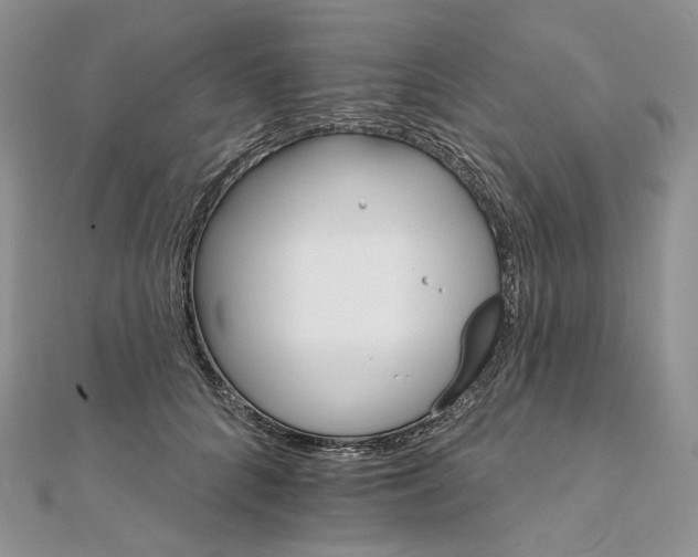 X0000111800704200908061158