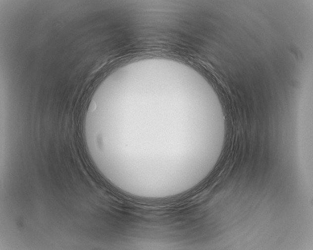 X0000111800705200908061158