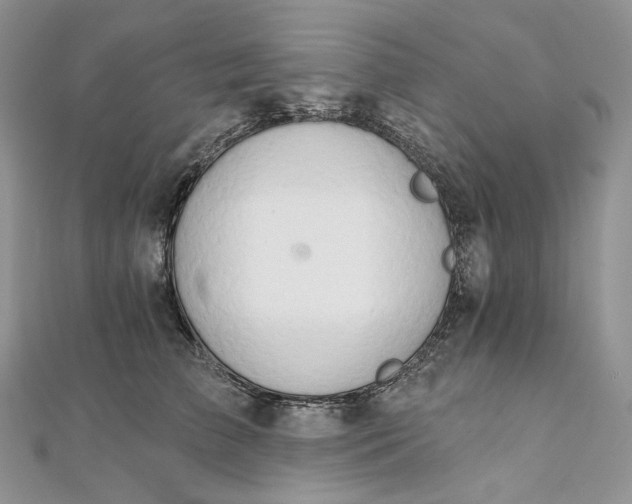 X0000111800709200908061158