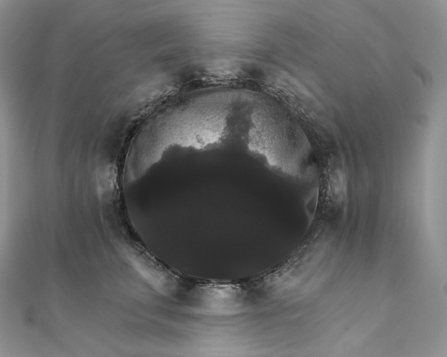 X0000111800711200908061158