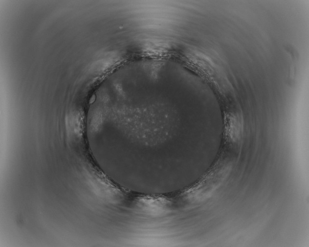 X0000111800712200908061158