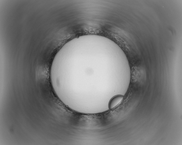 X0000111800713200908061158