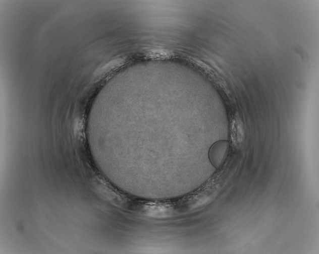 X0000111800714200908061158