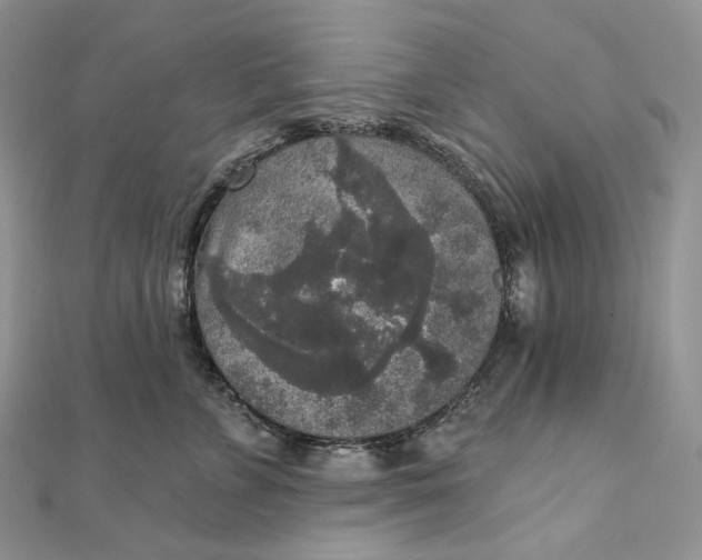 X0000111800715200908061158