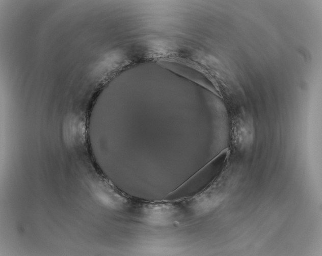 X0000111800716200908061158