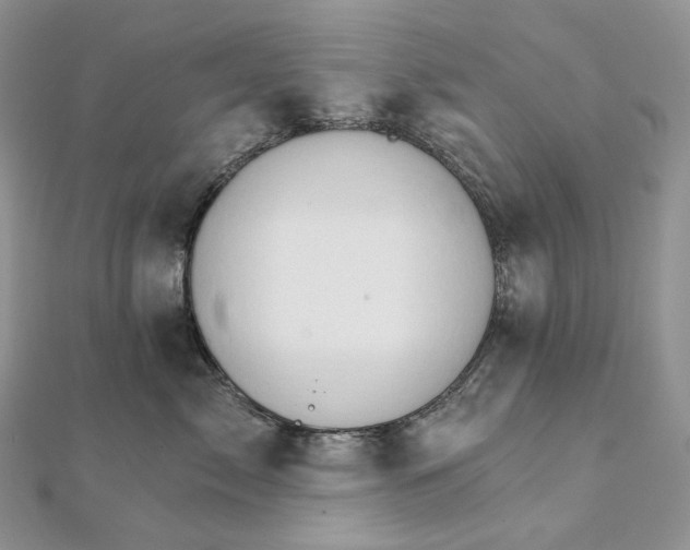 X0000111800717200908061158