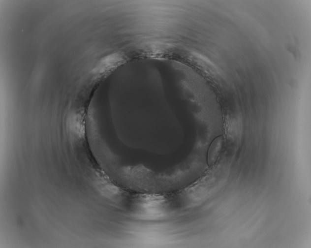 X0000111800719200908061158