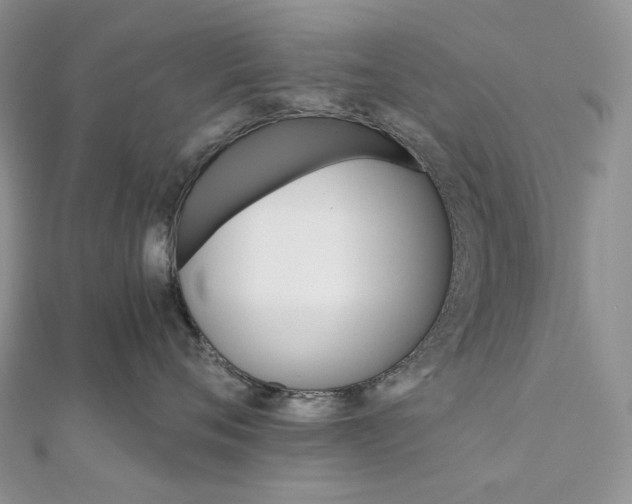 X0000111800720200908061158