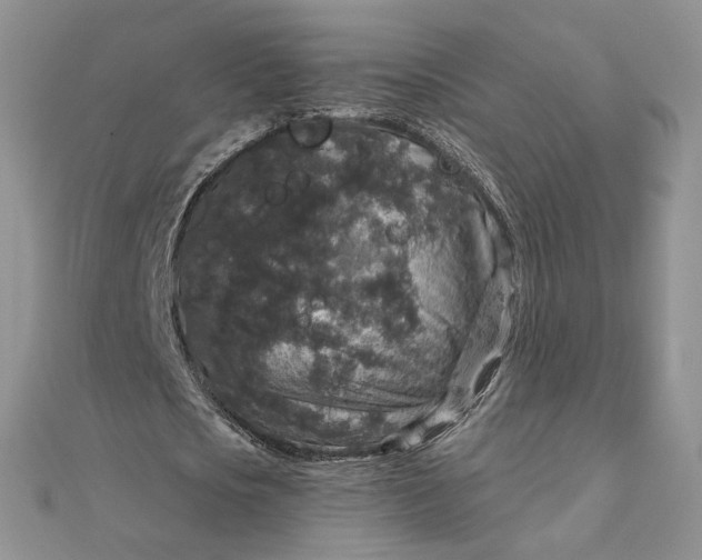 X0000111800721200908061157