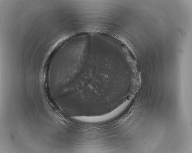 X0000111800723200908061157