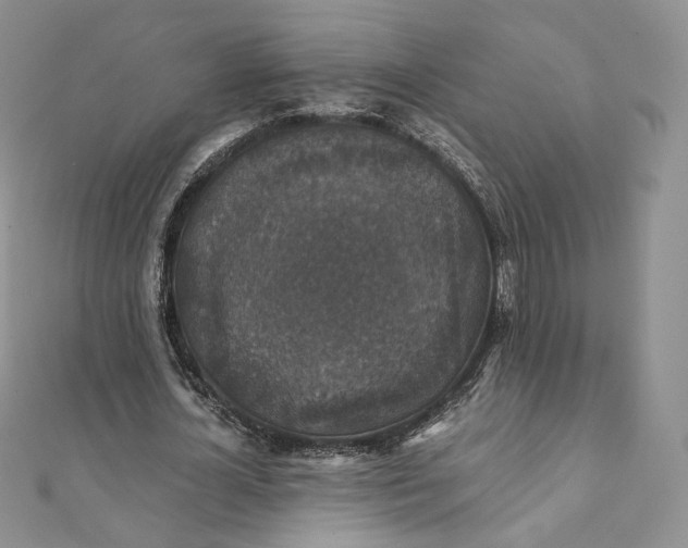 X0000111800724200908061158