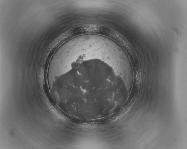 X0000111800725200908061158