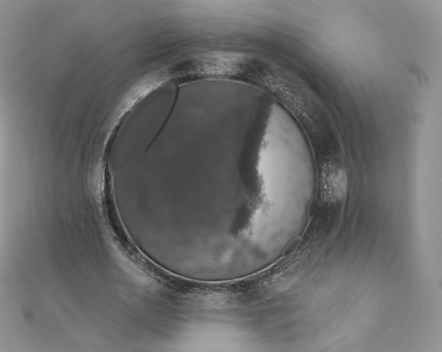 X0000111800726200908061158