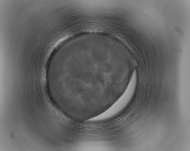 X0000111800727200908061158