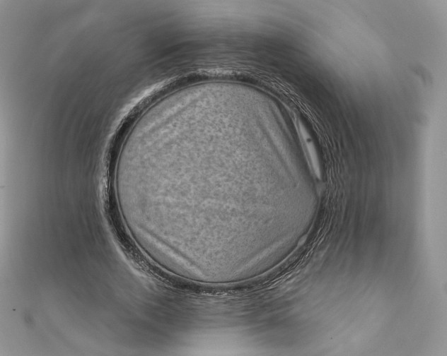 X0000111800728200908061158