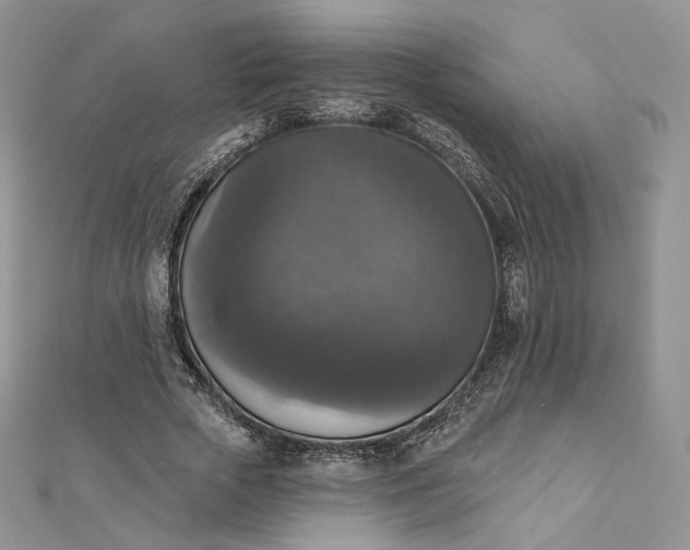 X0000111800729200908061158