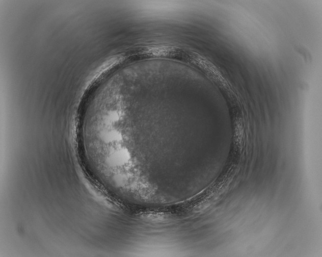 X0000111800730200908061158