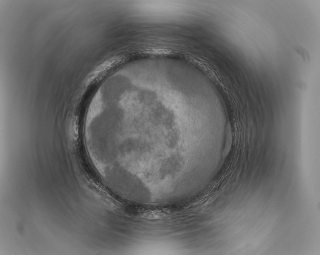 X0000111800731200908061158