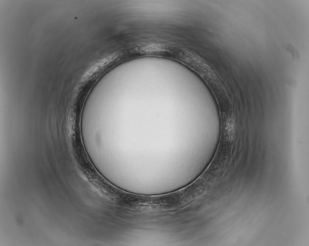 X0000111800732200908061158