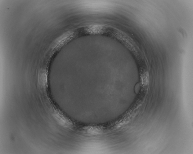 X0000111800733200908061158