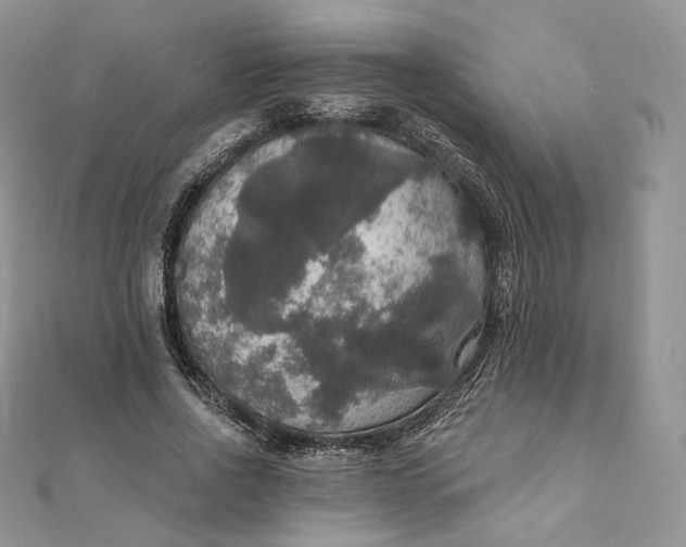 X0000111800734200908061158