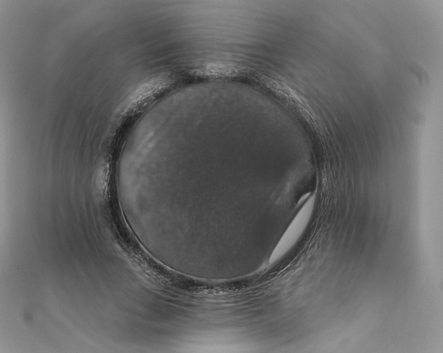 X0000111800735200908061158