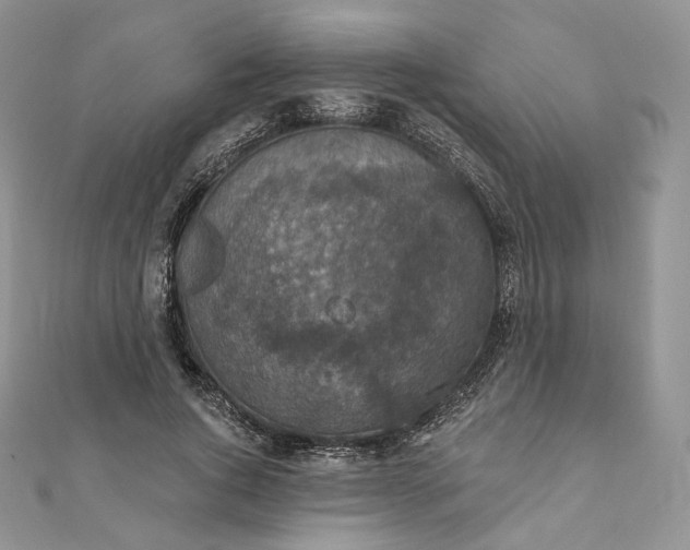 X0000111800736200908061158