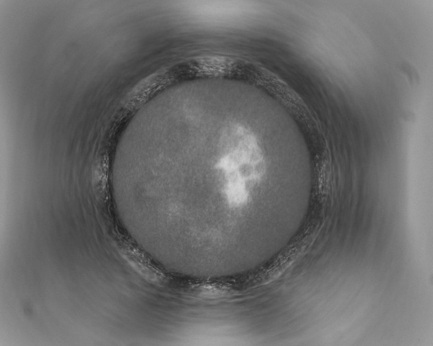 X0000111800737200908061158