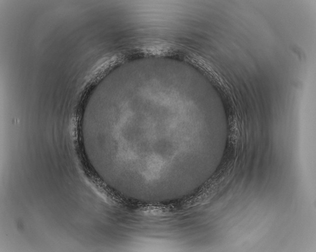 X0000111800738200908061158