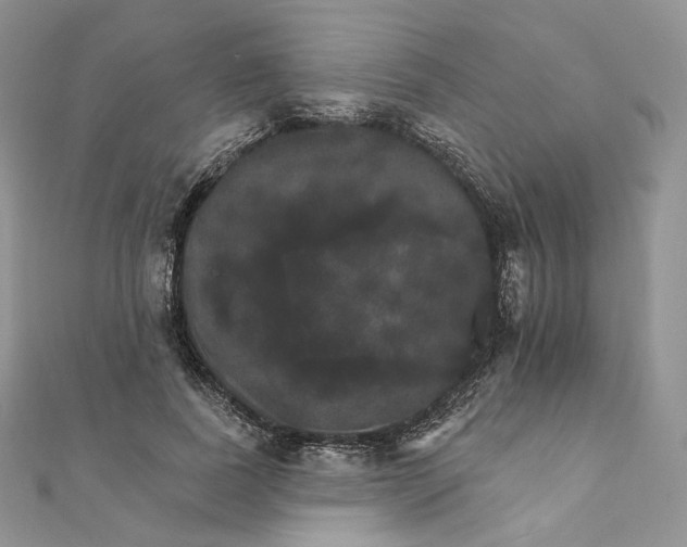 X0000111800739200908061158