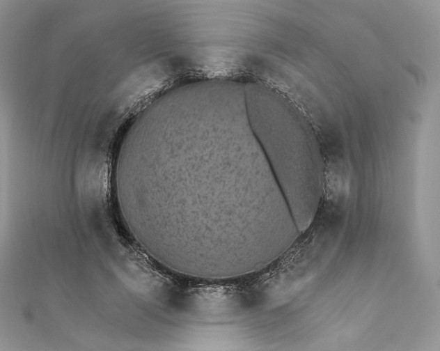 X0000111800740200908061158