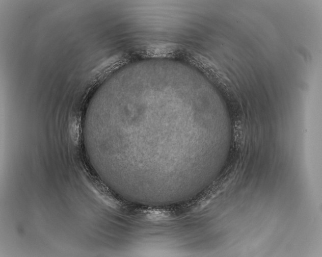 X0000111800741200908061158