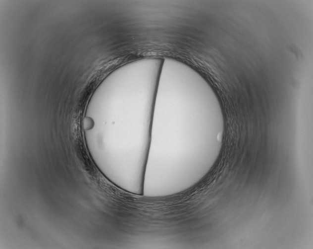 X0000111800743200908061158