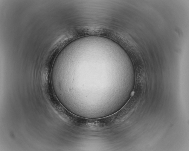 X0000111800744200908061158