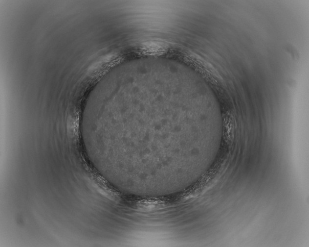 X0000111800745200908061158