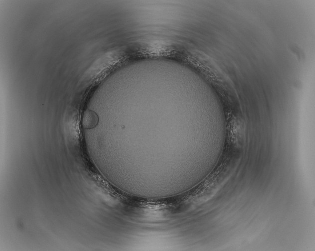 X0000111800746200908061158