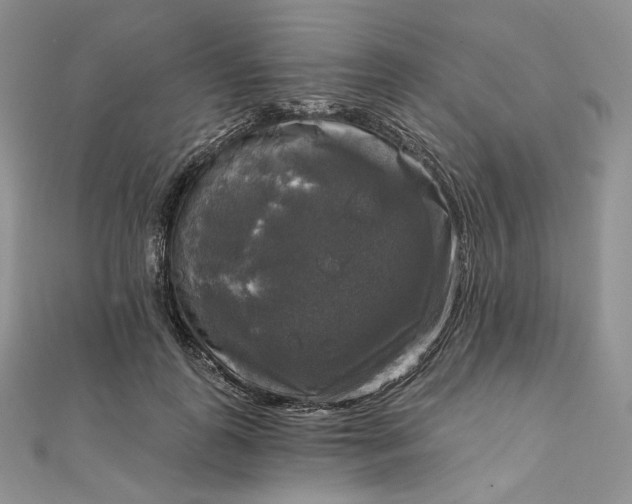 X0000111800747200908061158