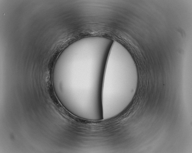 X0000111800748200908061158