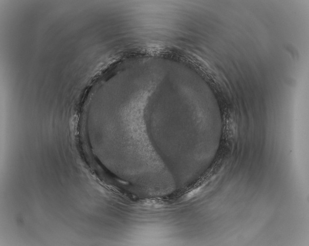 X0000111800750200908061158