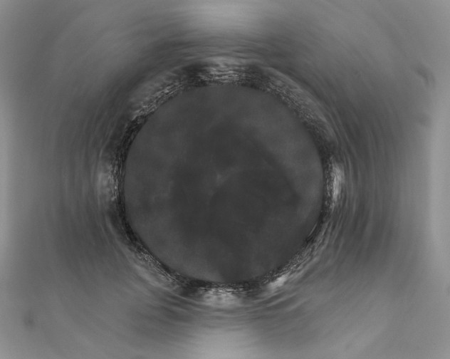 X0000111800751200908061158