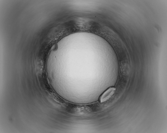 X0000111800752200908061158