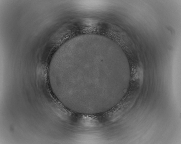 X0000111800753200908061158