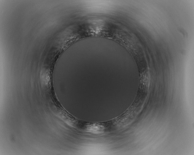 X0000111800754200908061158