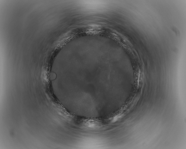 X0000111800755200908061158