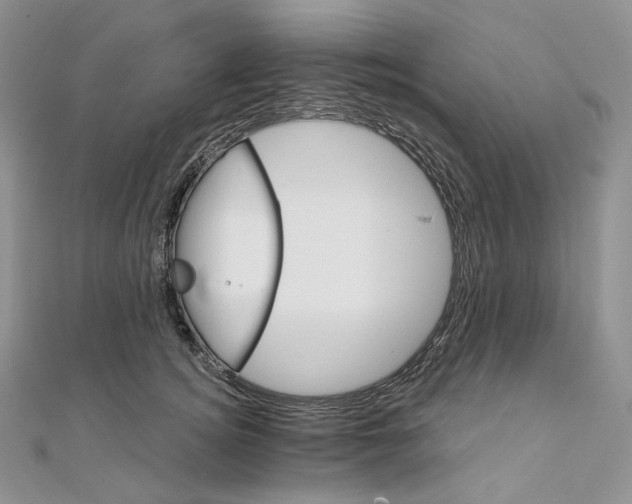 X0000111800756200908061158