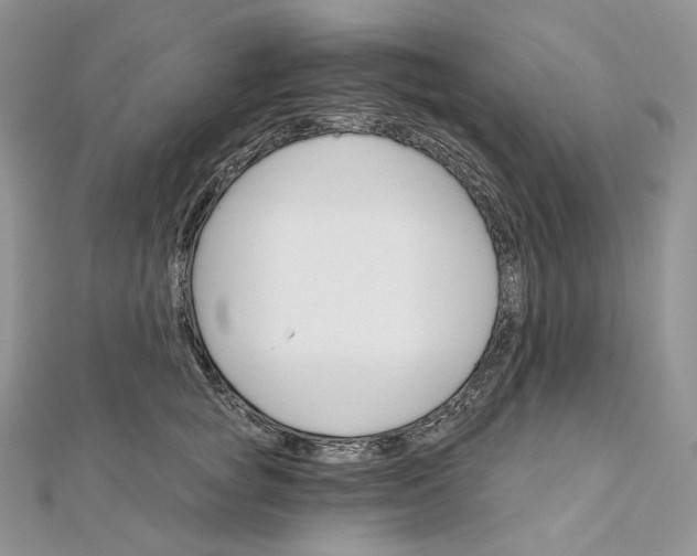 X0000111800757200908061158