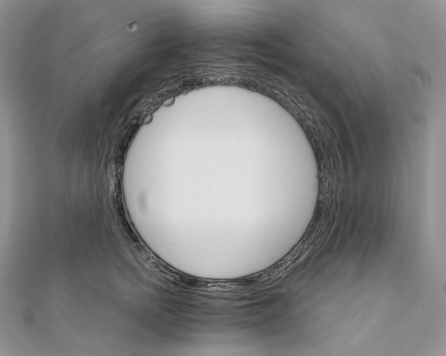 X0000111800758200908061158